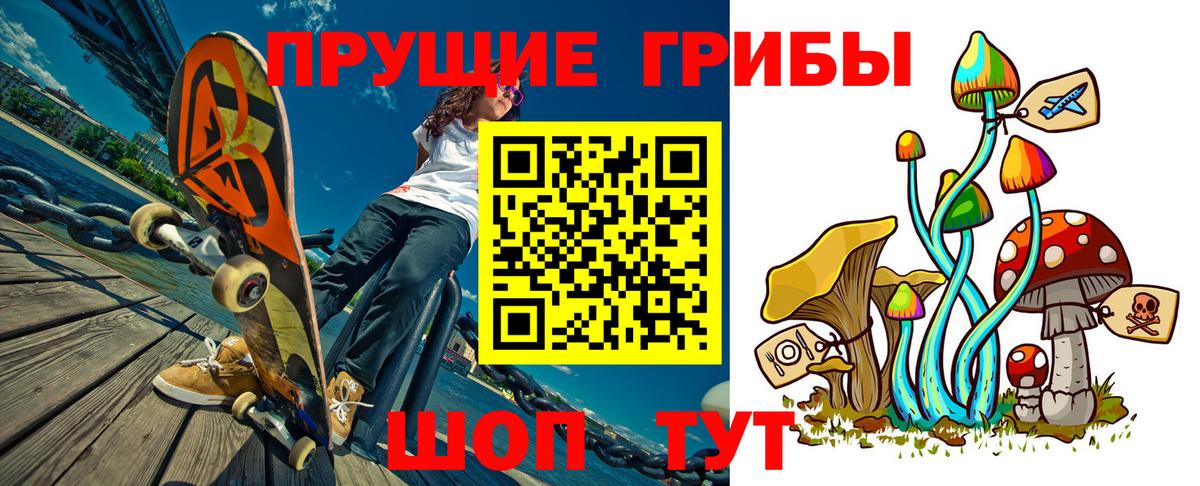 A-PVP Коряжма