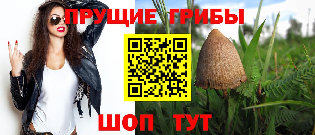 Псилоцибиновые грибы Magic Shrooms Коряжма