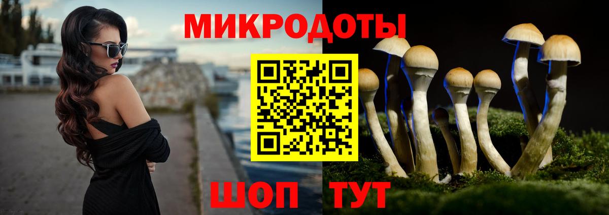 Псилоцибиновые грибы Psilocybe  Вход с VPN  Коряжма  Псилоцибиновые грибы мицелий 