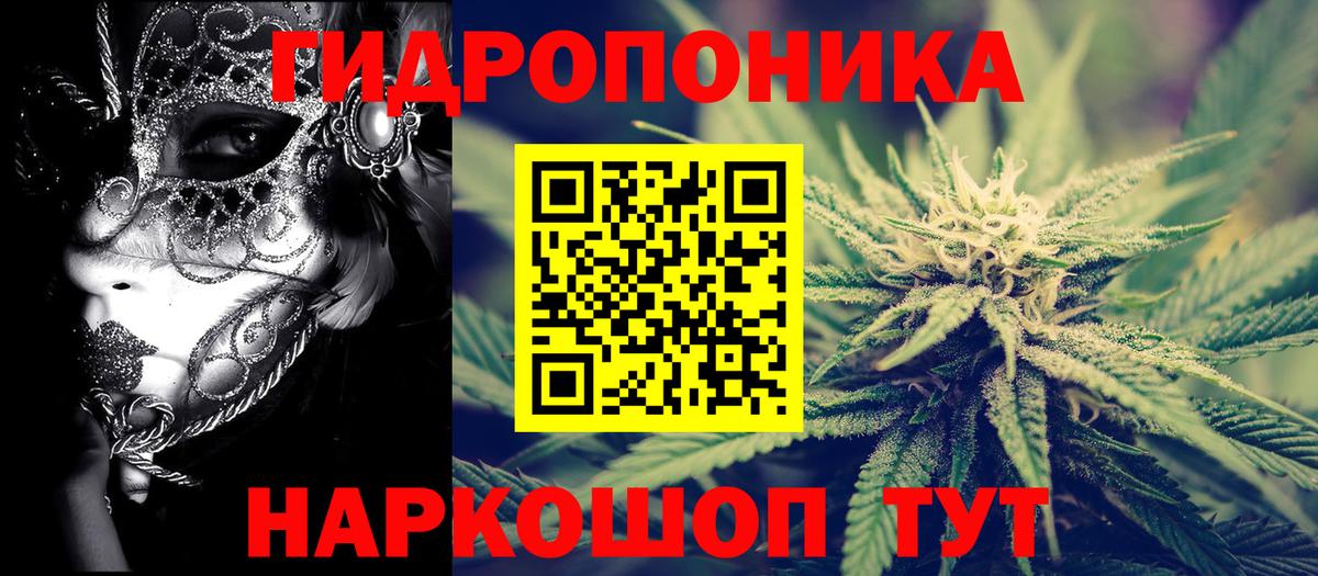 Бошки Шишки планчик  Бошки Шишки тримм  Каннабис MAZAR  Коряжма  Вход с VPN 